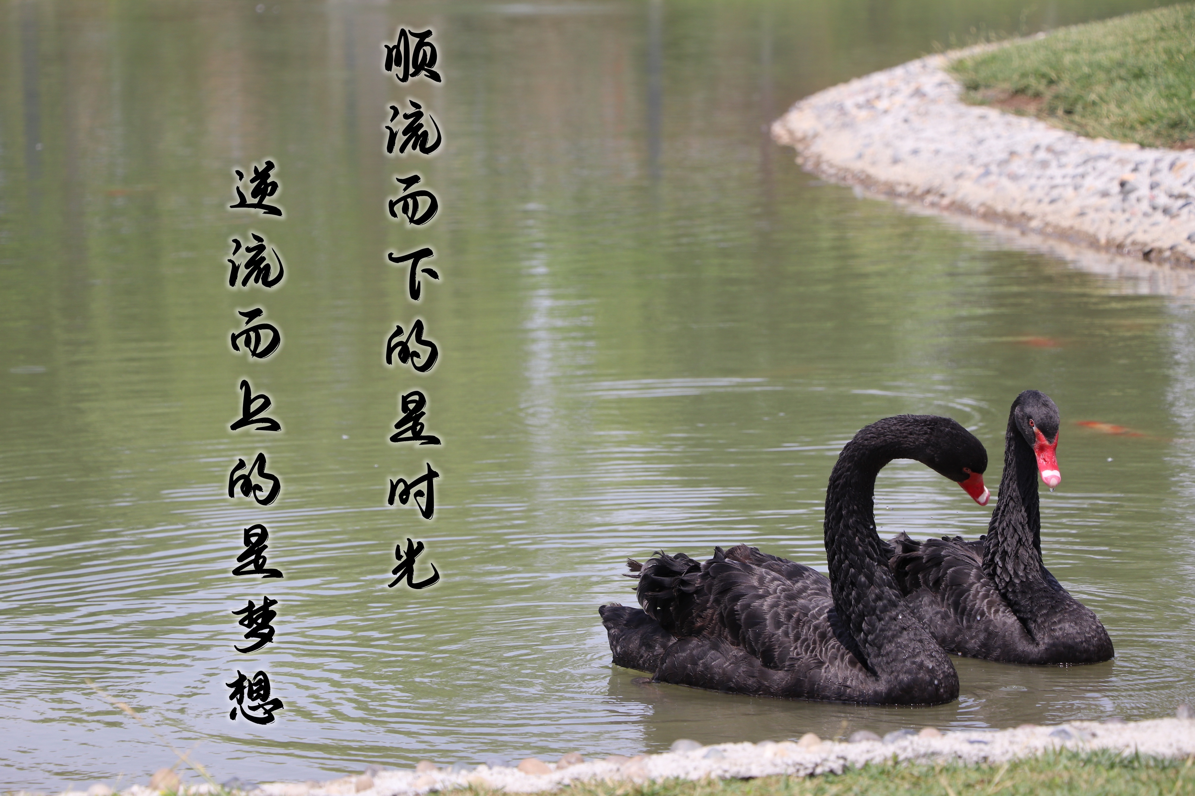 【濟(jì)寧大運(yùn)河駕校】乾坤未定，超越自我無悔青春！(圖5)