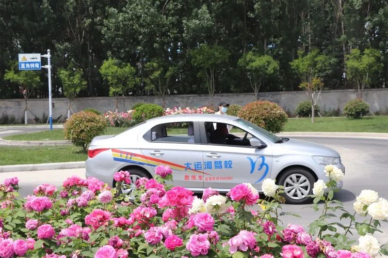 【濟寧大運河駕校】母親節(jié)丨感恩有您，陪我長大(圖2)