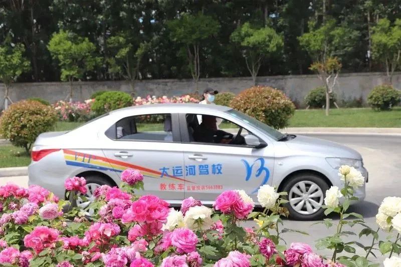 【濟寧大運河駕校】第十屆“學車夏令營”火爆開啟！(圖2)