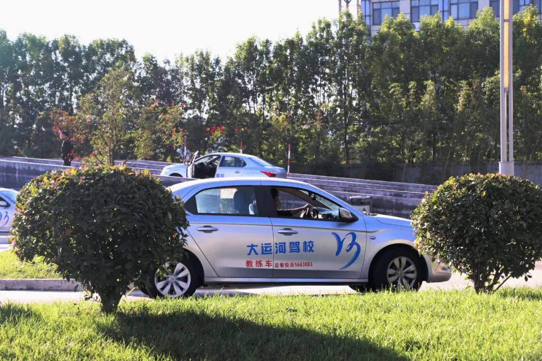 【濟(jì)寧大運(yùn)河駕?！坎鸥型砬?，忽而立冬丨共賞校園初冬美景~(圖7)