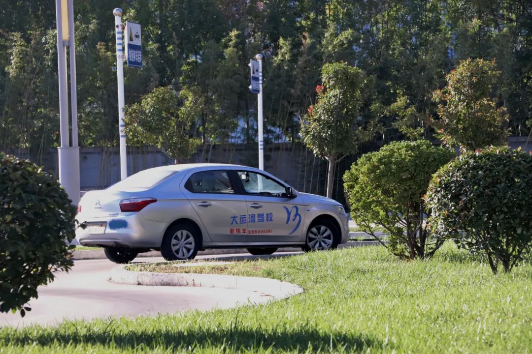 【濟(jì)寧大運(yùn)河駕?！坎鸥型砬?，忽而立冬丨共賞校園初冬美景~(圖10)