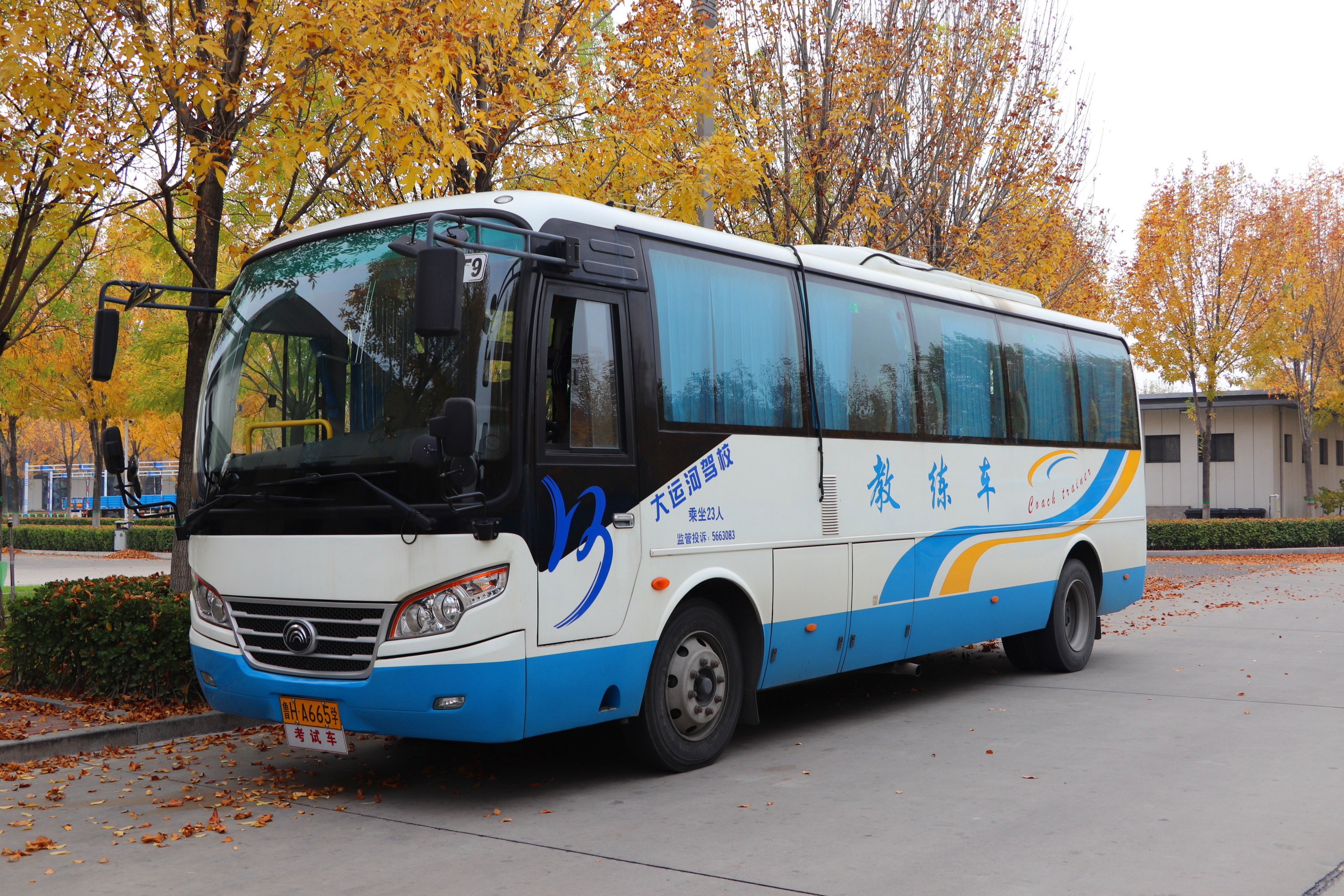 重磅福利！A1/A3限時(shí)鉅惠開(kāi)啟：學(xué)大車(chē)3999！(圖1)